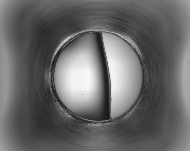 X0000087560896200704270924