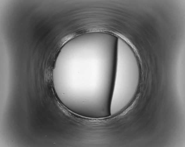 X0000087560897200704270924