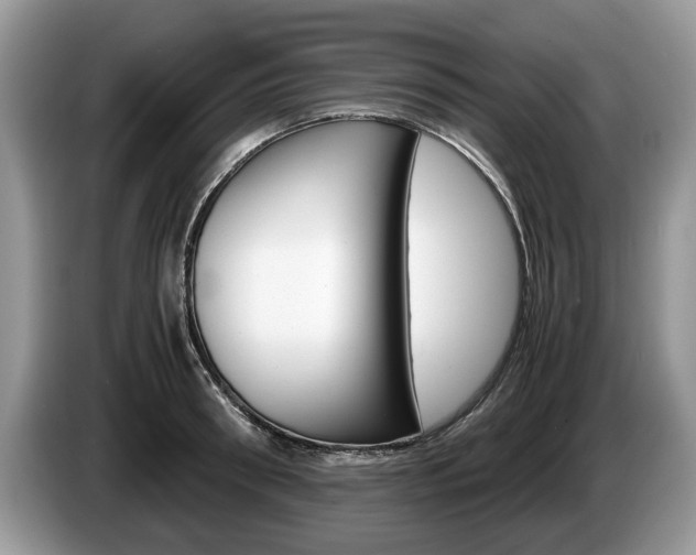 X0000087560898200704270924