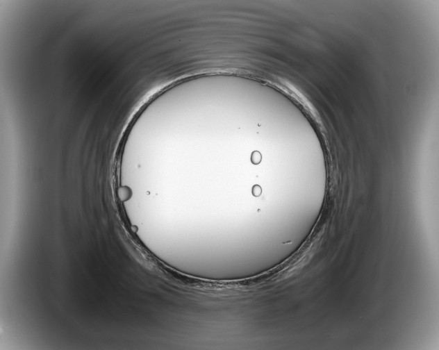 X0000087560899200704270924