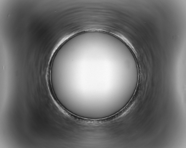X0000087560901200704270924
