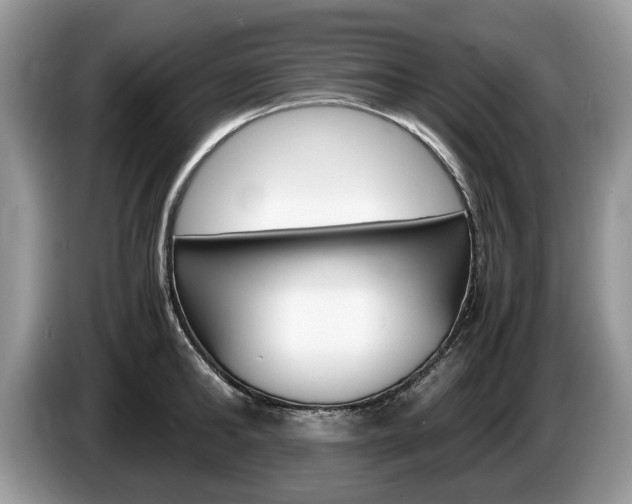 X0000087560902200704270924