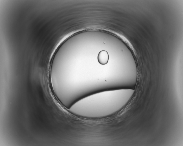 X0000087560903200704270924