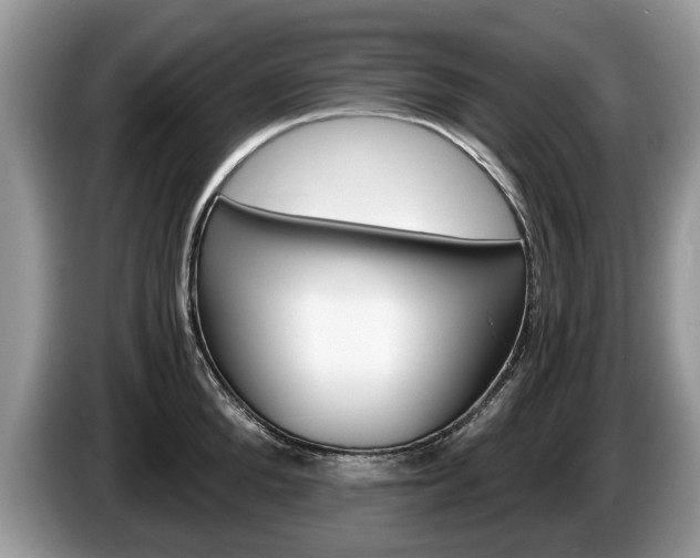 X0000087560904200704270924