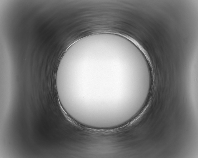 X0000087560905200704270924