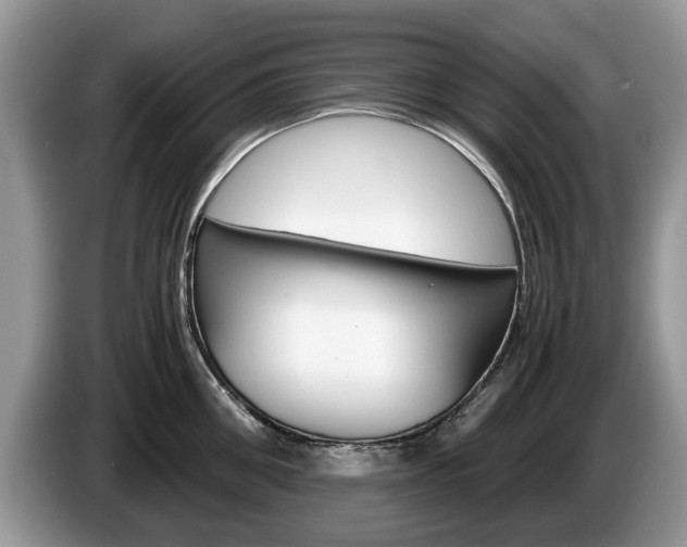 X0000087560906200704270924