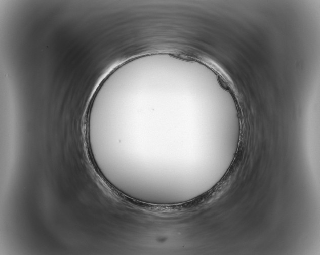 X0000087560907200704270924