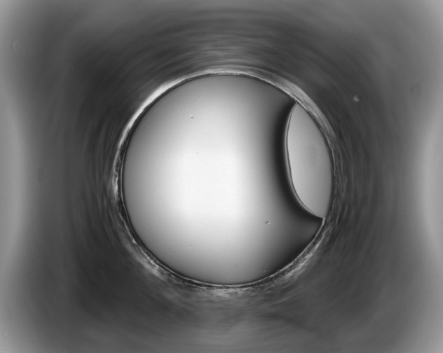 X0000087560908200704270924