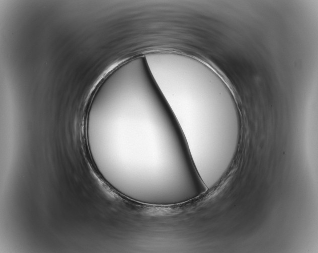 X0000087560909200704270923