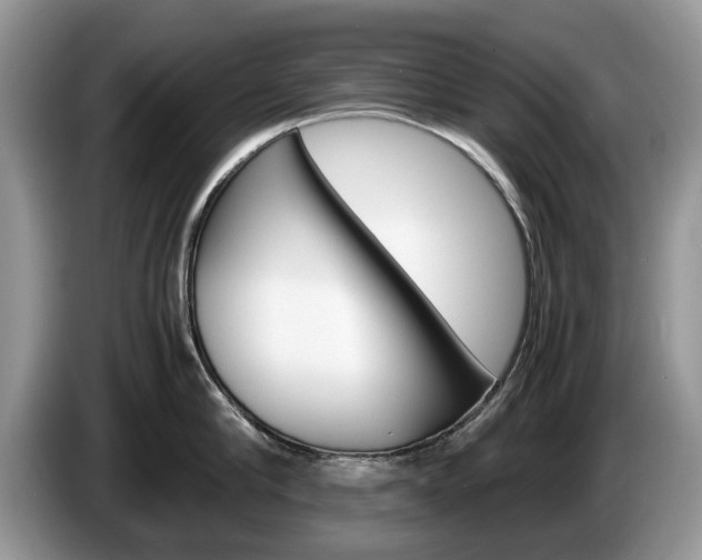 X0000087560910200704270923