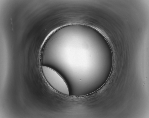 X0000087560912200704270923