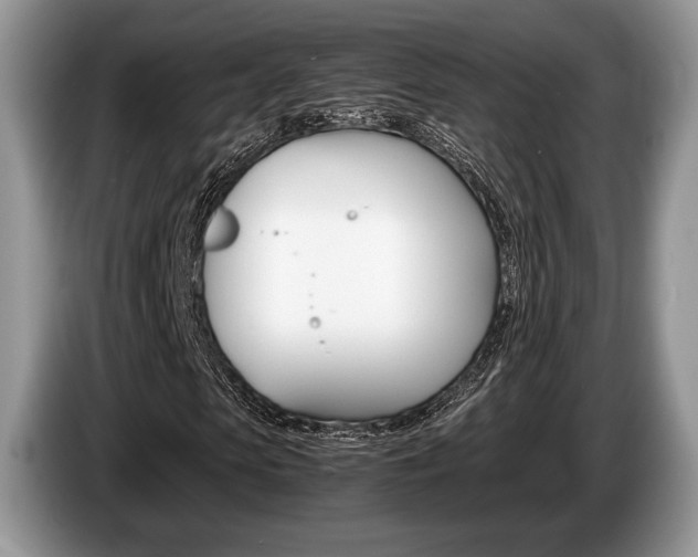 X0000087560913200704270923