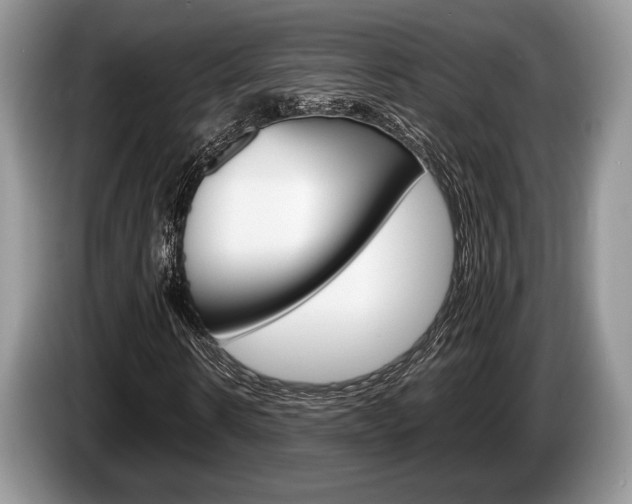 X0000087560914200704270923
