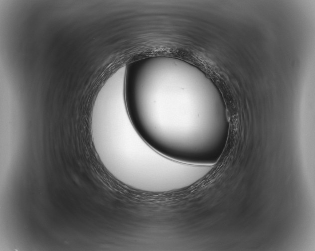 X0000087560916200704270923