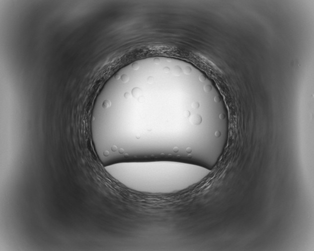 X0000087560917200704270923