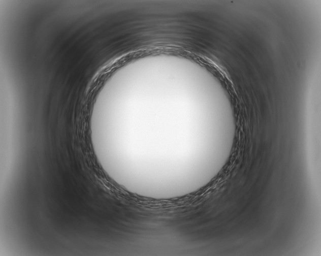 X0000087560920200704270923