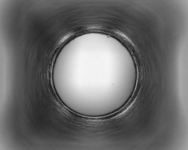 X0000087560921200704270923