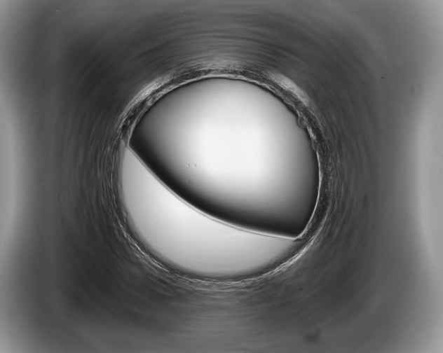 X0000087560922200704270923