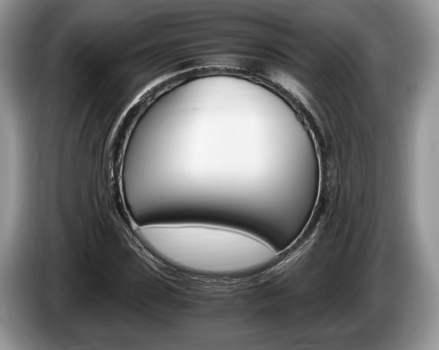 X0000087560923200704270923