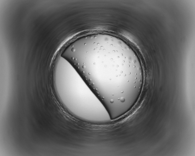 X0000087560925200704270923