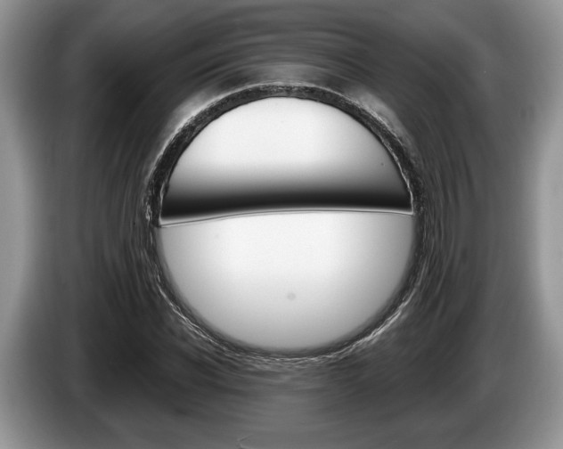X0000087560926200704270923