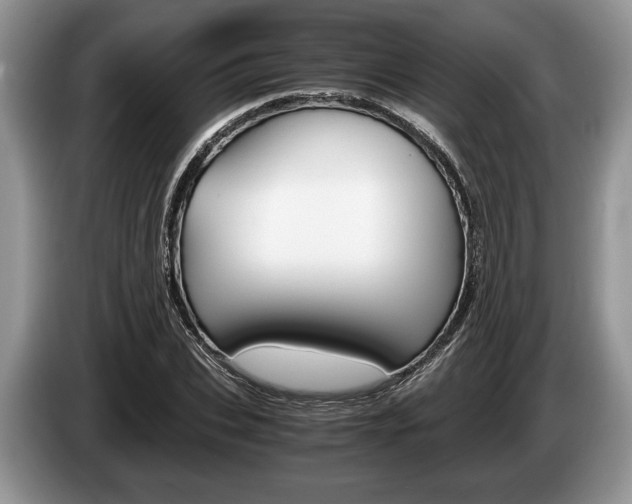 X0000087560927200704270923