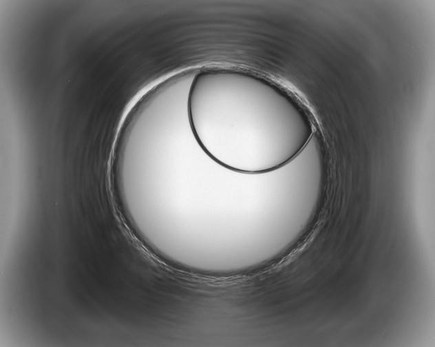 X0000087560928200704270923