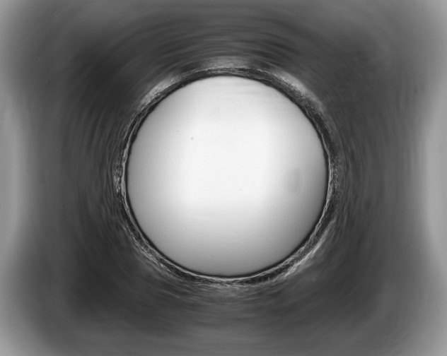 X0000087560929200704270923