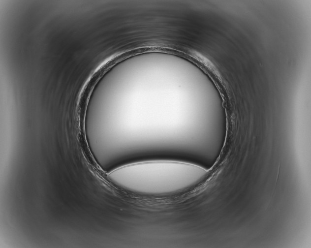 X0000087560931200704270923