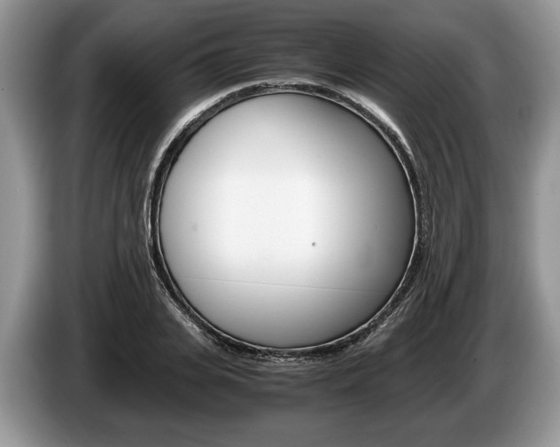 X0000087560935200704270923
