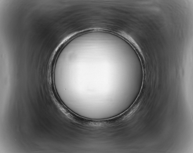 X0000087560939200704270923