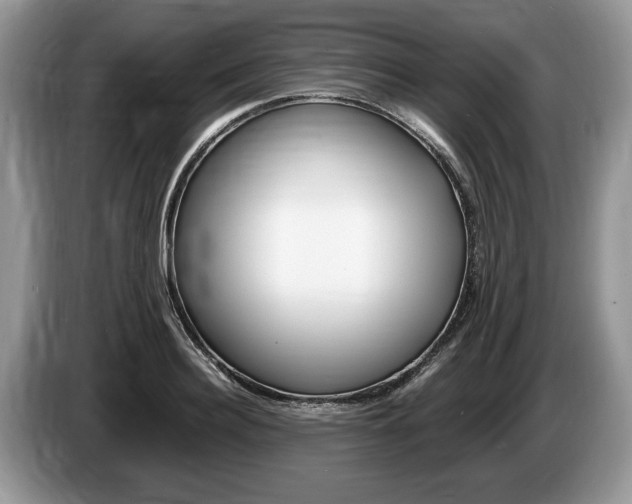 X0000087560940200704270923