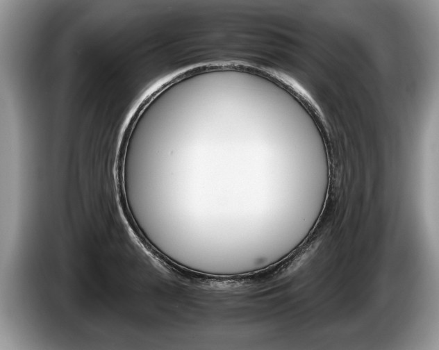 X0000087560943200704270923
