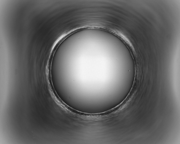 X0000087560944200704270923