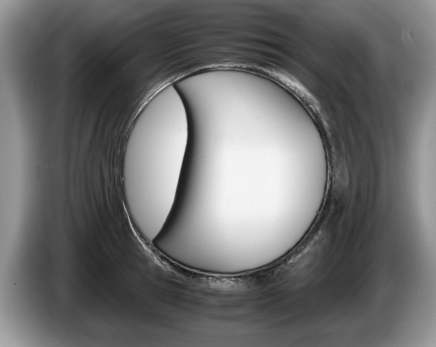X0000087560945200704270923