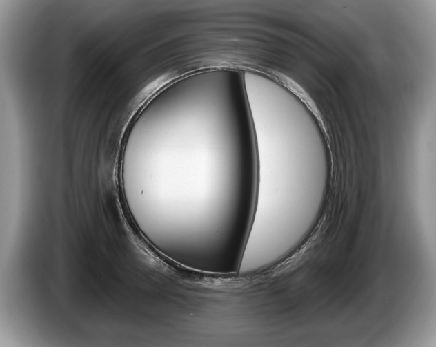 X0000087560946200704270923