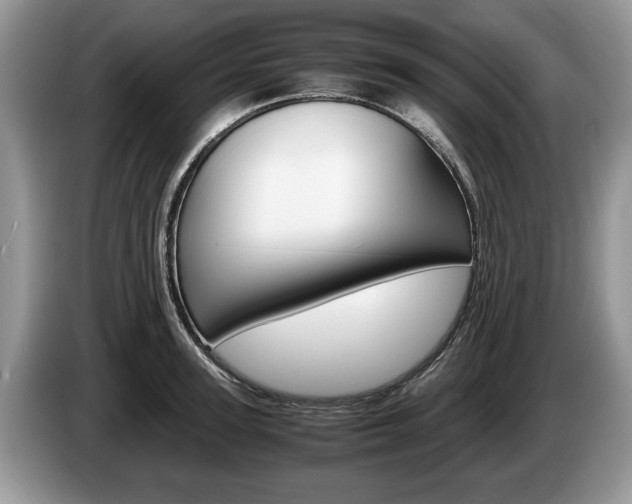 X0000087560947200704270923