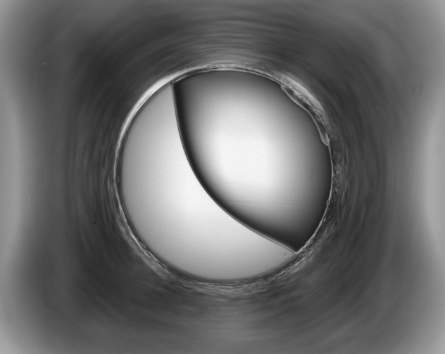 X0000087560948200704270923