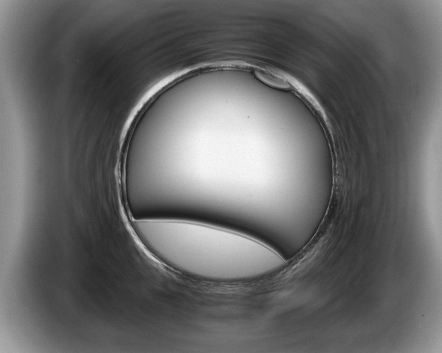 X0000087560951200704270923