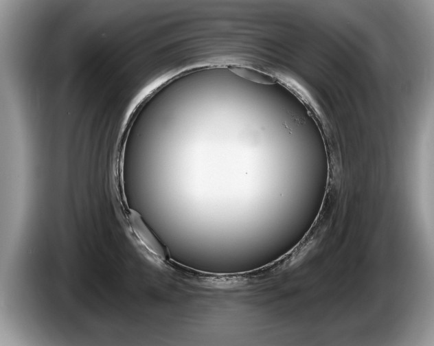 X0000087560952200704270923
