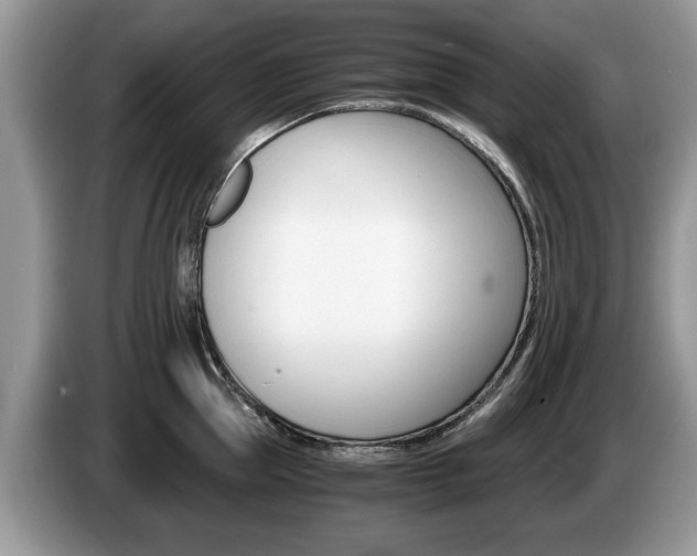 X0000087560953200704270923