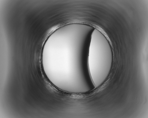 X0000087560954200704270923