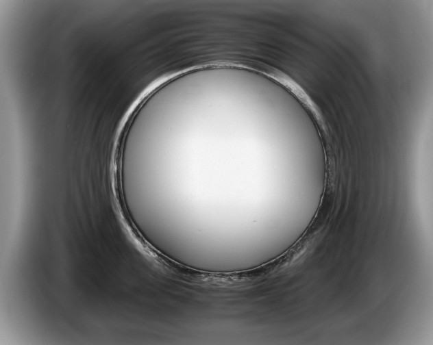 X0000087560955200704270923
