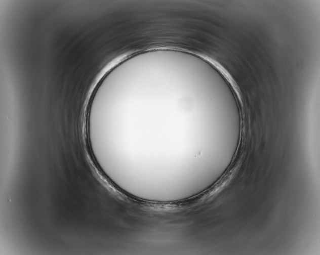 X0000087560957200704270923