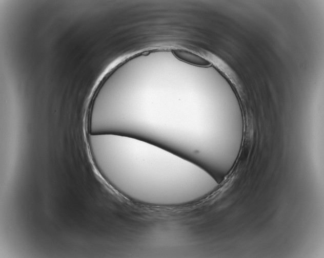 X0000087560958200704270923