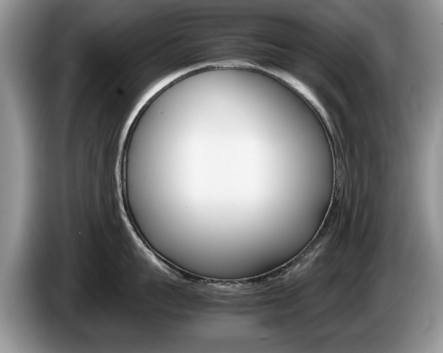 X0000087560959200704270923