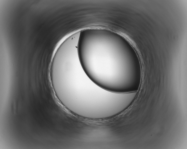 X0000087560960200704270923
