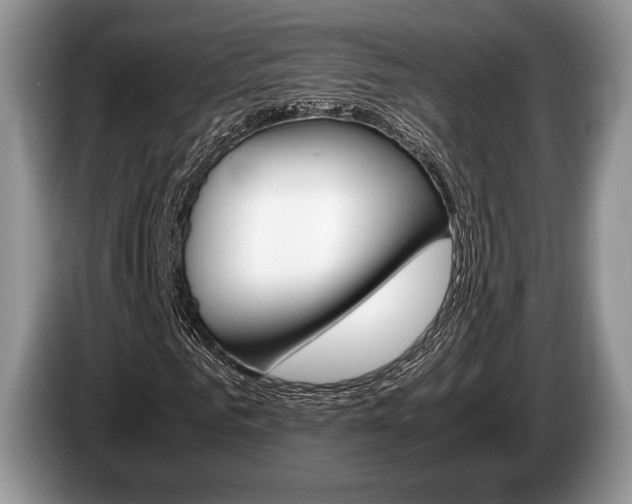 X0000087560961200704270923
