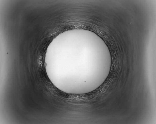 X0000087560962200704270923