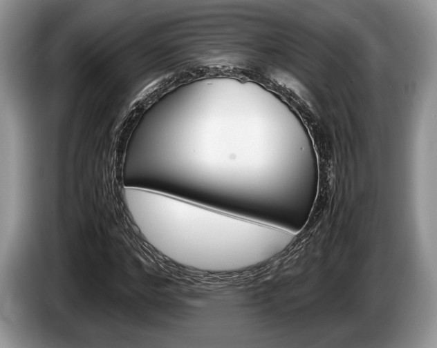 X0000087560968200704270923